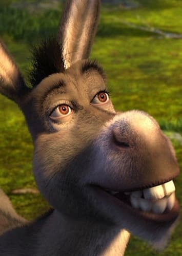 Donkey