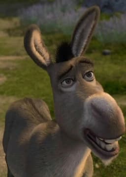 Donkey
