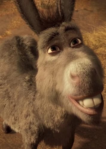 Donkey