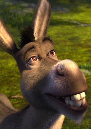 Donkey