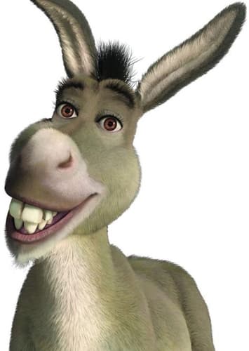 Donkey
