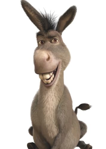 Donkey