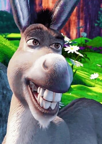 Donkey