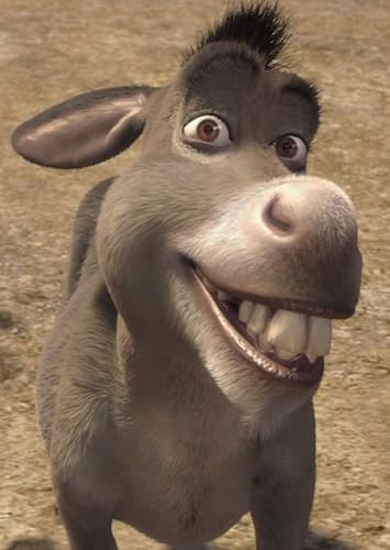 Donkey