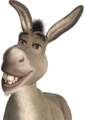 Donkey
