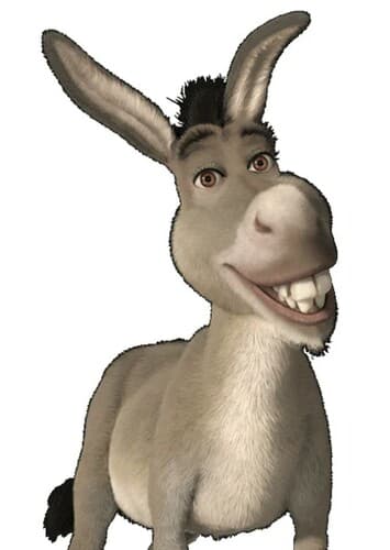 Donkey
