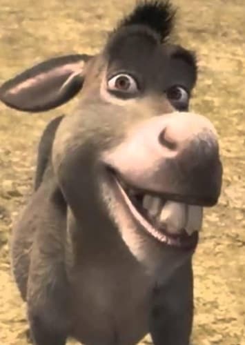 Donkey