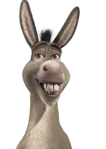 Donkey