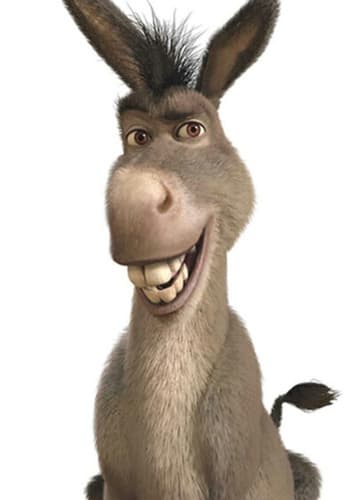 Donkey