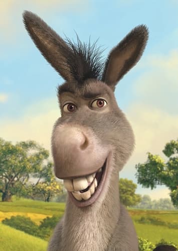 Donkey