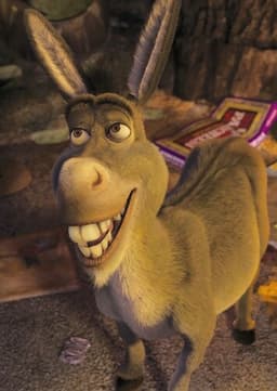 Donkey