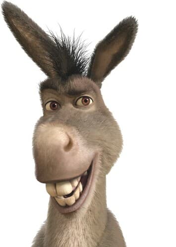 Donkey