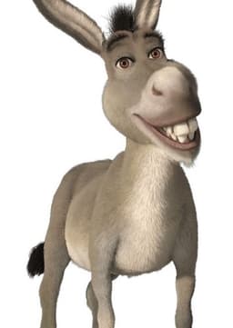 Donkey