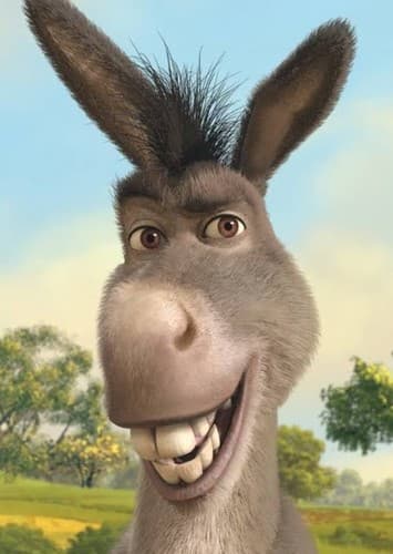 Donkey
