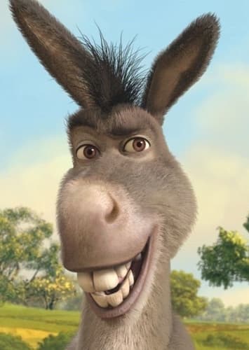 Donkey