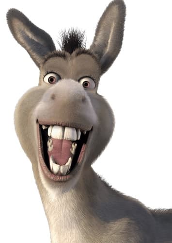 Donkey