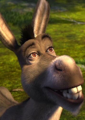 Donkey