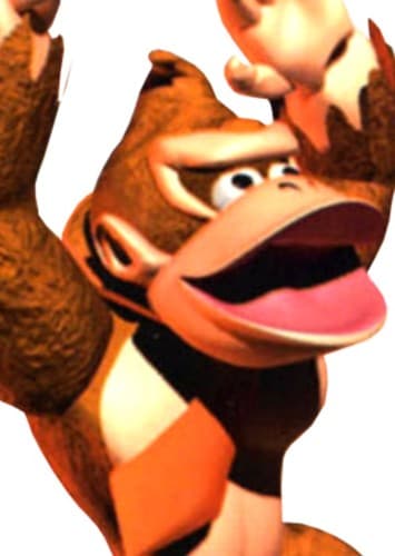 Donkey and Donkey replacement