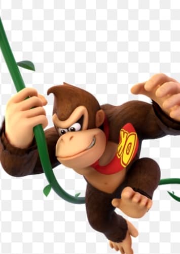 Donkey Kong