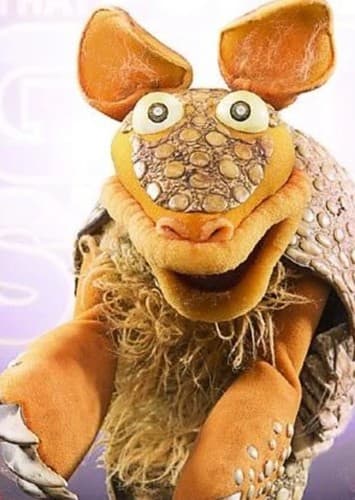 Dooley the Armadillo