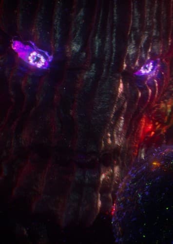 Dormammu