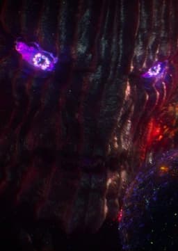 Dormammu