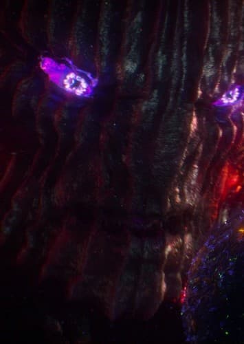 Dormammu