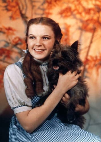 Dorothy