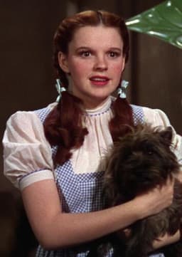 Dorothy Gale