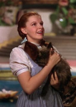 Dorothy Gale