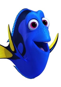 Dory