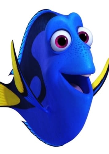 Dory