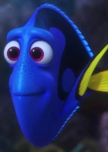 Dory