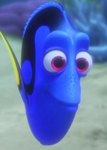 Dory