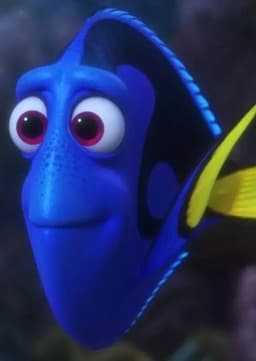 Dory