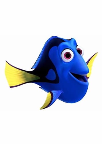 Dory