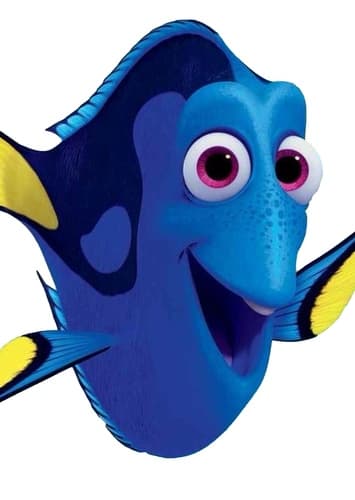 Dory