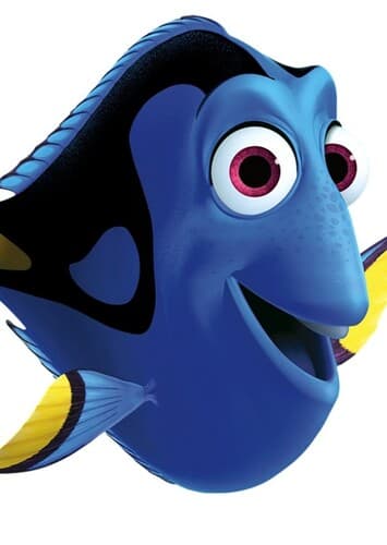 Dory