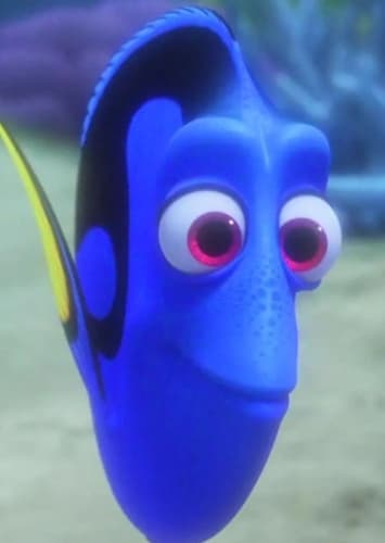Dory