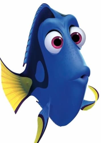 Dory