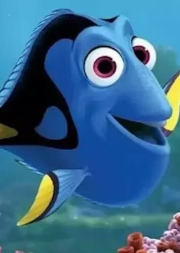Dory