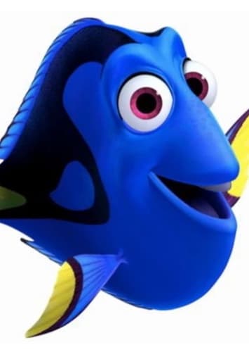 Dory