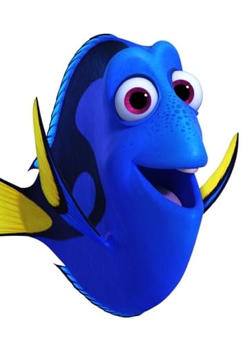 Dory