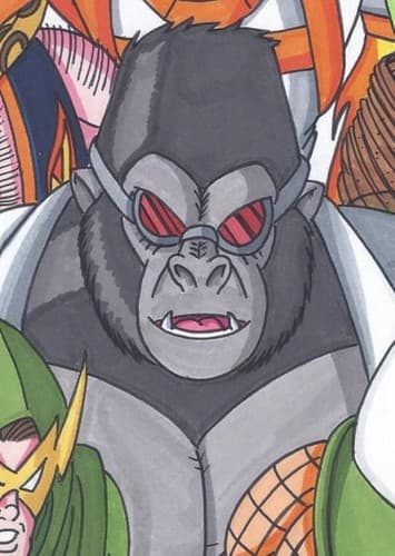 Dr grodd