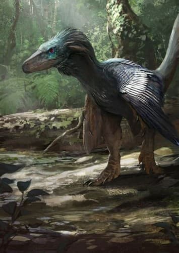 Dromaeosaurus