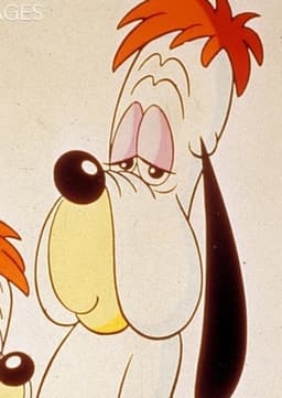 Droopy