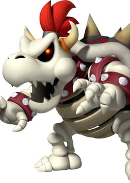 Dry Bowser