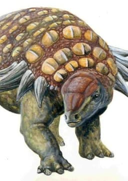 Edmontonia