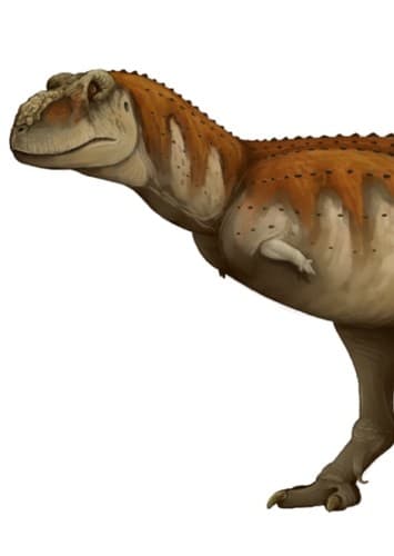 Ekrixinatosaurus