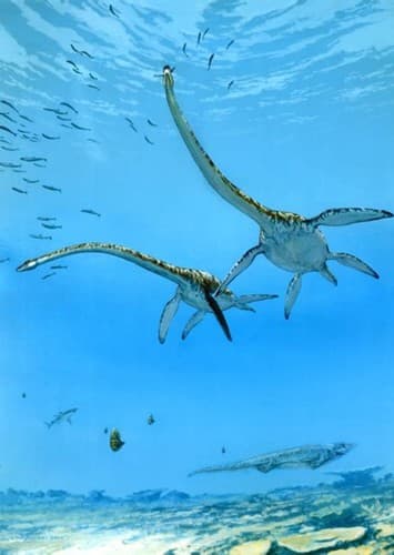 Elasmosaurus